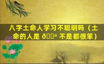 八字土命人学习不聪明吗（土命的人是 🐺 不是都很笨）